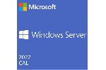 Dell Software, Microsoft WS 2022 10CALs Device